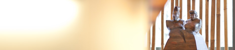 Die Methode der Fettabsaugung, Liposuktion, Fettabsaugen Liposuction