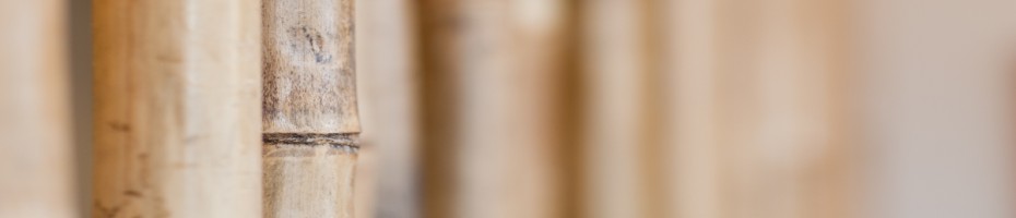 Behandlungserfolge bei der Fettabsaugung, Liposuktion, dem Fettabsaugen, Liposuction